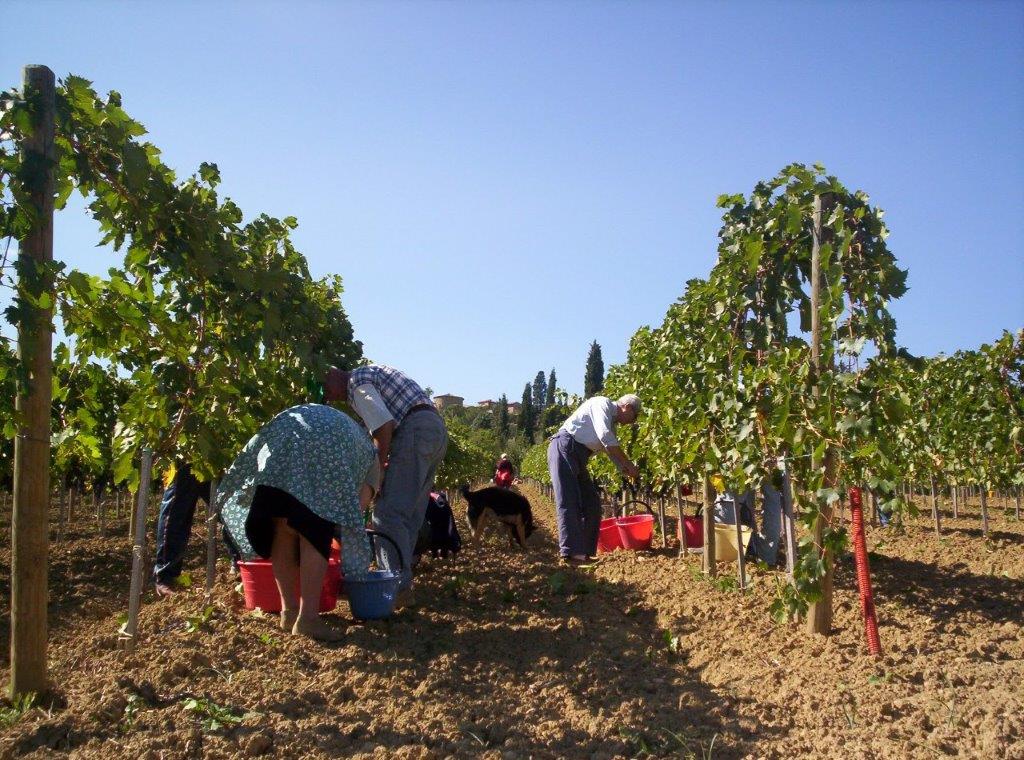 azienda bianchi biciclette di chi é